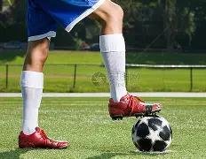 南安普敦新,任主教练塞,莱斯上任,乐竞体育,乐竞体育官网,乐竞体育官方,乐竞体育下载