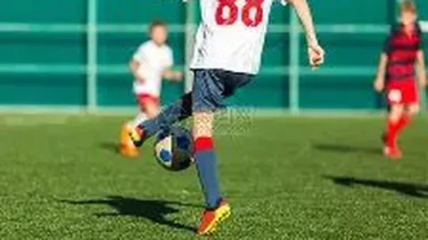 乐竞体育 产品 103116 4xa