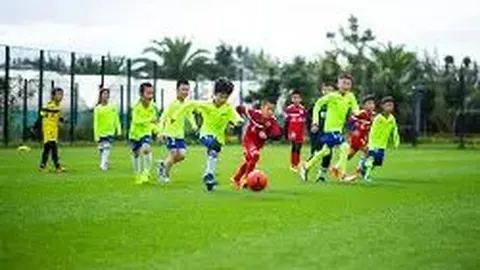 乐竞体育 产品 110539 tdp