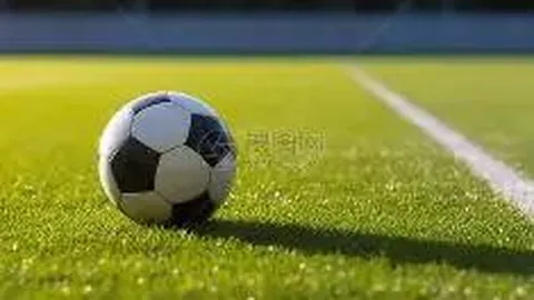 乐竞体育 资讯 115425 thn